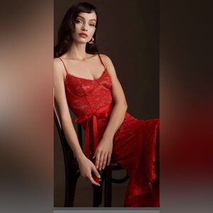 Anthropologie V. Chapman Naomi Stretch Lace Corset Dress